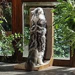 FUKUMARU Cat Scratcher, 26.8 Inch L Shape Cat Scratch Pad Wall Mounted, Cat Scratching Cardboard with Ball Toy for Indoor Cats, Large Size - Image 6
