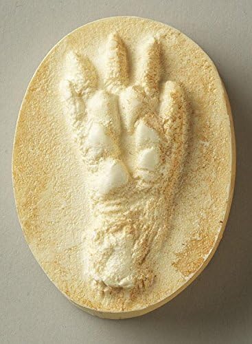 Opossum Track Replica