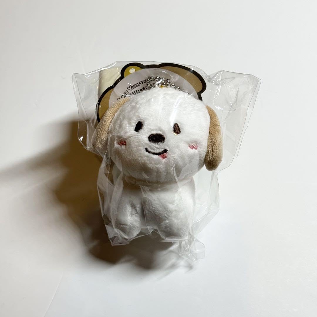 Amazon.co.jp: RIIZE ライズ アントン VALENTINE'S DAYZE