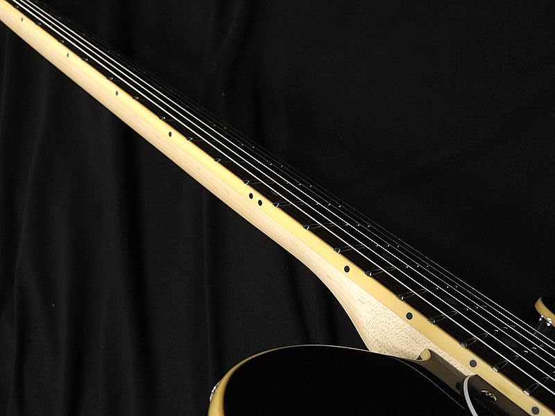 Amazon | SCHECTER PS-PT-AL-RH/2TS/R シェクター テレキャスター