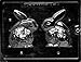 Cybrtrayd E460 3D Bunny Chocolate/Candy Mold with Exclusive Cybrtrayd Copyrighted Chocolate Molding Instructions
