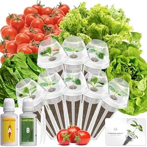 Saladseedpodkitsforaerogardenidoohydroponicsgrowingsystemherbgarden400seedsincludingamericanfastlettucebuttercrunchlettuceredcherrytomato8pods Urban Country Home Decor Salad seed pod kits for aerogarden idoo hydroponics growing system herb garden 400 seeds including american fast lettuce buttercrunch lettuce red cherry tomato8 pods urban country home decor