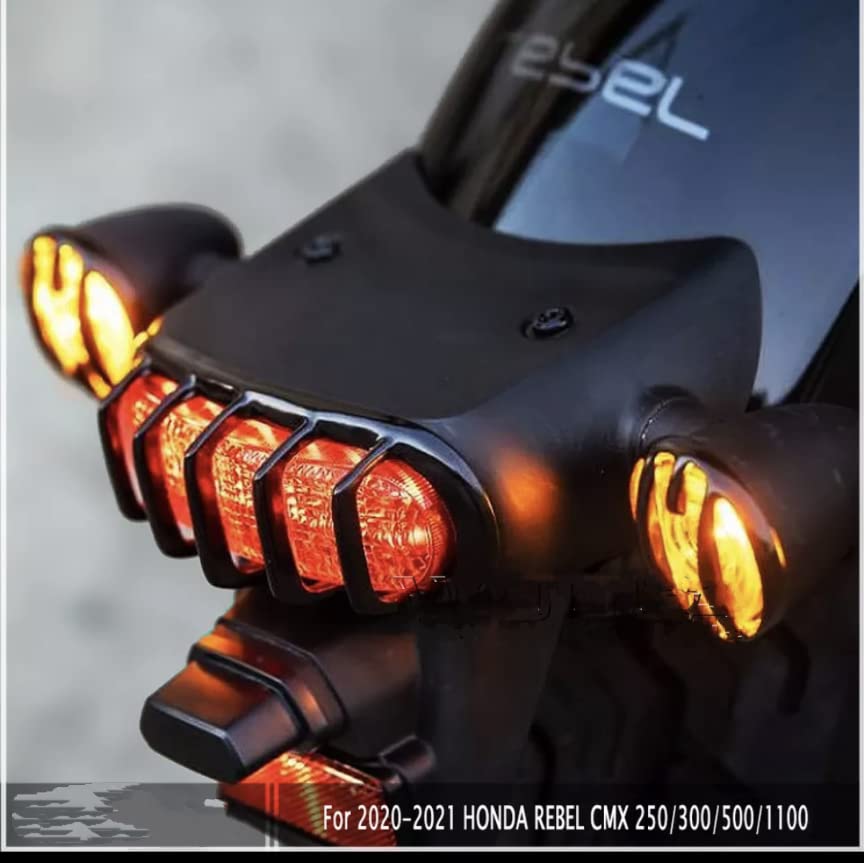 Amazon | GOLDFAUST レブル テールライトカバー＋ウインカー