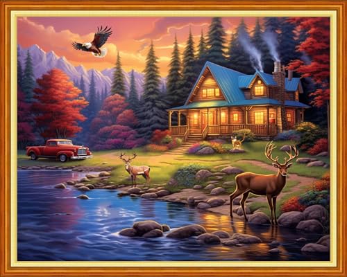 Image of Dimensean Stamped Cross Stitch Kits Full Range of Embroidery Patterns Starter Kits for Beginners Adult DIY Cross Stitches Needlepoint Kits 11CT-Night View by the Lake 16x20 inch