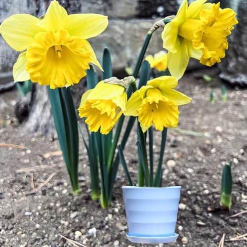 Honseadek Pots de fleurs en plastique à texture réaliste avec drainage, pots de fleurs imitation élégants pour intérieur et extérieur, pots de jardin multicolores avec plateau (bleu)