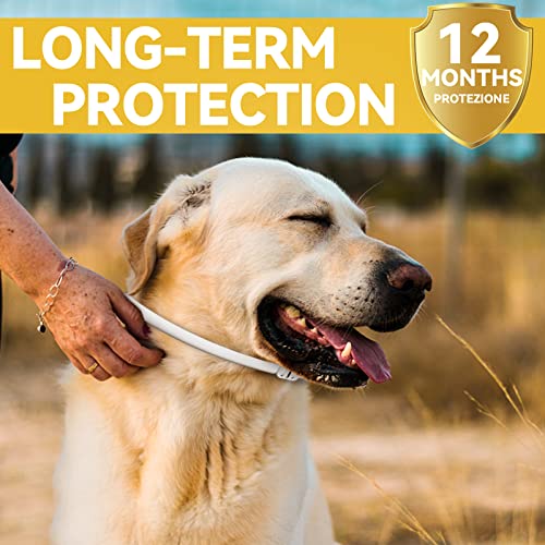 Sugelary Collare Antipulci Cane, Collare