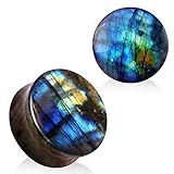 Covet Jewelry AAA Grade Natural Labradorite Stone Saddle Plug (2GA)