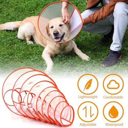 Image of Paterr 9 Pcs Soft Dog Cone Collar Adjustable Protective for Pet Flexible Plastic Cone for Dog After Surgery Recovery E Collar for Wound Healing Small Medium Large (Orange Border)