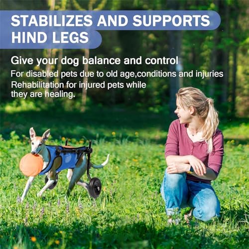 Cadeira de rodas para cães para pernas traseiras, cadeira de rodas ajustável para animais de estimaç