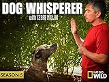 Dog Whisperer with Cesar Millan Season 5