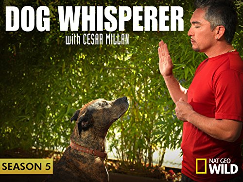 Dog Whisperer with Cesar Millan Season 5