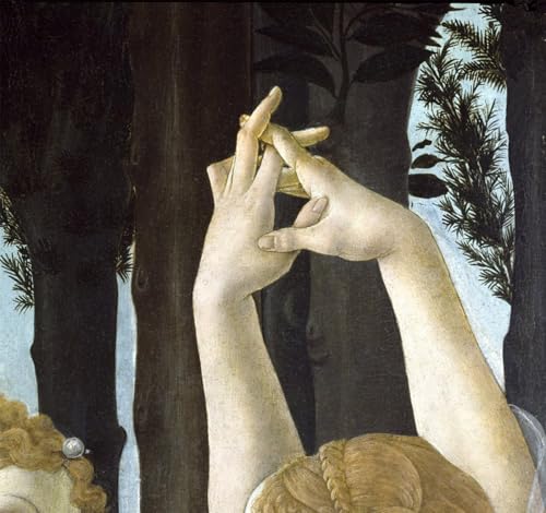 Art Mural Toile Sandro Botticelli Peinture Spring pour Rénover un Salon