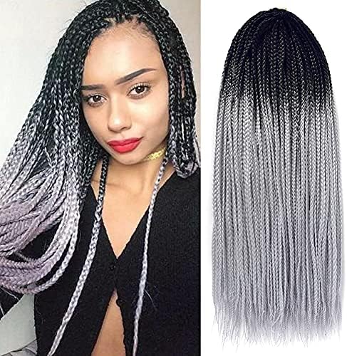 Gottin Hair Box Braids Crochet Hair 6 Packs 24 Inch Gray Ombre Crochet Box Braids Braided 22 Strands Over 60 Colors Gorgeous Crochet Braids Hair Extensions For Black Women (24 inch, 1B/Sliver Gray)