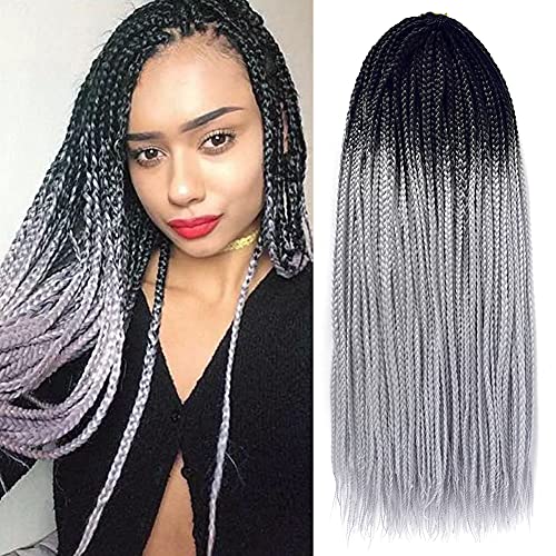Gottin Hair Box Braids Crochet Hair 6 Packs 24 Inch Gray Ombre Crochet Box Braids Braided 22 Strands Over 60 Colors Gorgeous Crochet Braids Hair Extensions For Black Women (24 Inch, 1B/Sliver Gray) #TOP5