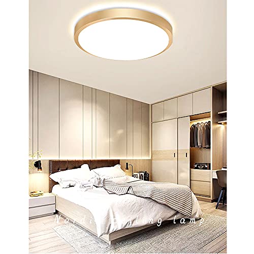 Lámpara de techo LED empuercada para techos bajos que elimina sombras en estancias 6