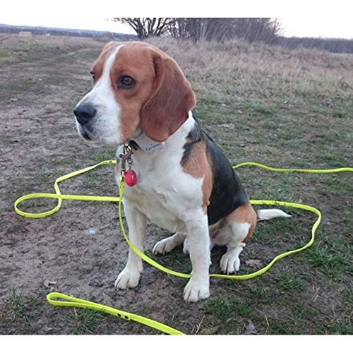Long Leash Waterproof Training Longline Outdoor Dog Leash Great For Training, Beach, Yard, Play, Camping #TOP5