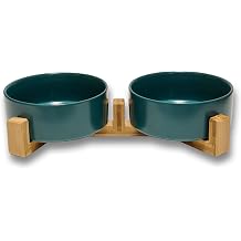 Elevated Dog Bowls and Cat Bowls Set to Minimize Neck Stress and Prevent Chin Irritations Green, 3.6 Cups