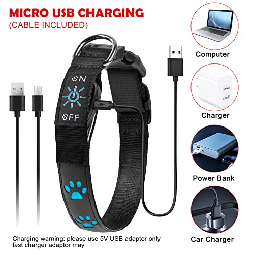 AUAUY Hundehalsband Leuchtend, LED Leuchthalsband Hunde Halsband USB Wiederaufladbar Wasserdichtes für Kleine Mittlere Große Haustier Einstellbar Sicherheit Kragen mit 3 Beleuchtungsmodi (Rot-M)