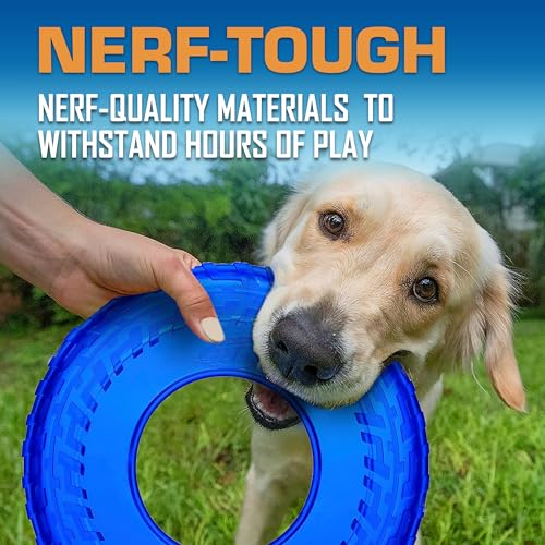 image for Nerf Dog Tire Flyer Dog Toy Gift Set, 10 Inch Flying Disc Dog Fetch To