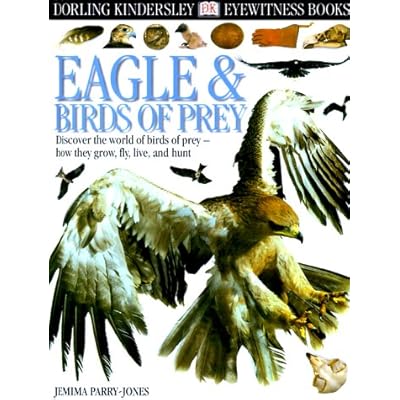Eagle & Birds of Prey