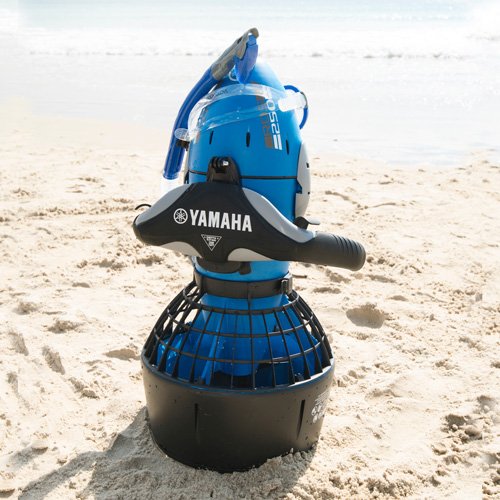 Amazon | Yamaha Seascooter シースクーターRDS 250 | スタリオン 