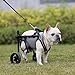 DAYGIFT Adjustable Small Dog Wheelchair for Back Legs, Light Weight Cat &Dog & Pets Wheelchair Cart with Disabled Hind Legs Walking, Leg Brace & Hip Support,X-Small