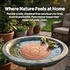 Bird Bath Fountain Disk,10cm Water Purification Copper Disk | Bird Bath Feeder Plate | for Outdoor Garden Backyard Patio Farmhouse Park Terrace #4