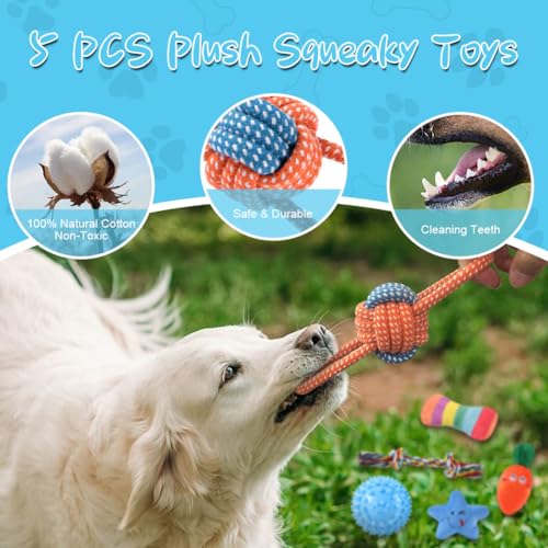 AMFUN 7 Stück Hundespielzeug Set für Kleine und Mittlere Hunde, Plüsch Mit Quietscher, Kauspielzeug für Welpen