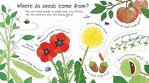 Usborne GB First Questions and Answers: How do flowers grow?