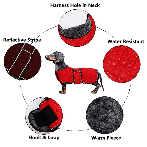 MOREZI Hundemantel Winter für Dackel - Wasserdichter Hunde Pullover mit Wolle Futter & Verstellbaren Gurten, Warmer Wintermantel für Kleine Hunde im Freien-Rot-L