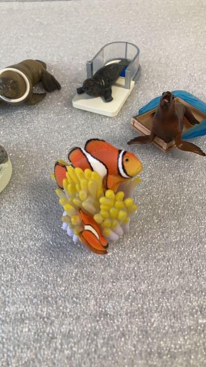 Amazon.co.jp: 鳥羽水族館立体コレクションpart1水の回廊&海獣