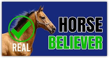 3Pcs - 7.5x3.75 in Horse Believer Car Bumper Sticker, Funny Quirky Car Decal, Adult Humor Truck Minivan Trailer Vehicle Decoration, Teens Meme Car Accessories, Gift for Family, Friends