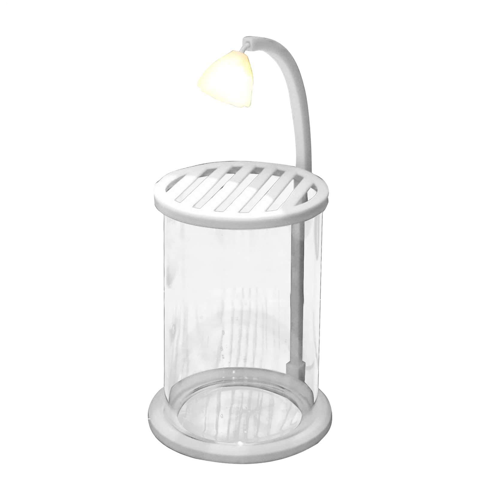 Aquarium de bureau avec lumière LED et bol transparent pour élevage de crevettes