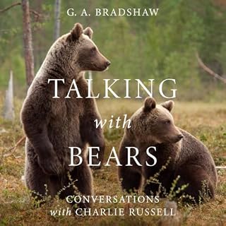 Talking with Bears cover art