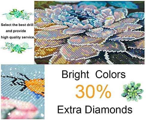 DIY 5D Full Diamond Painting by Number Kits, Dot Full Drill Crystal Rhinestone Embroidery, Cross Stitch Picture Supplies for Living Room Home Wall Decor(cat 11.8"x15.8")