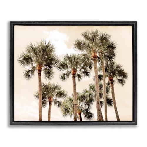 Summer Palm Trees Sky Coastal, 24 x 30 Inch Canvas in Floater Frame