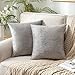 MIULEE Copricuscini in Velluto per Divano Federe Cuscini Stampati d'Oro per Camera da Letto Salotto Quadrati Federa Decorativa per Letto Matrimoniale Fodere Moderni 2 Pezzi 45X45 CM Grigio Chiaro