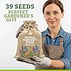 Medicinal Herb Seeds Variety Pack – 39 Heirloom Non-GMO Apothecary Seed Kit, Herbal Medicine & Tea Garden, Made in USA #1