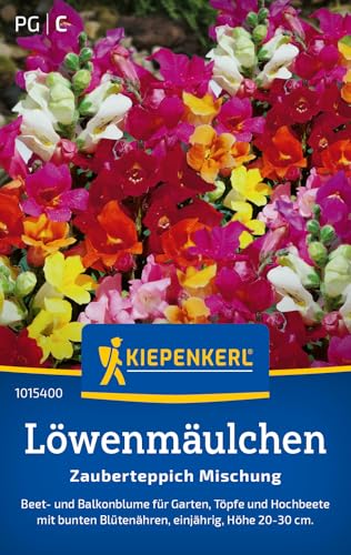 Kiepenkerl Löwenmäulchensamen Zauberteppich Mischung 1015400 - Einjährige Blumenmischung mit einer Wuchshöhe von 20 bis 30cm und Inhalt für 200 Pflanzen - Blumensamen, Saatgut