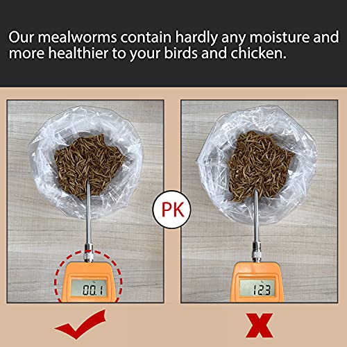 Euchirus Non-Gmo High-Protein Large Dried Mealworms For Chickens, Natural Grubs And Poultry Treats As Chicken Feed,Duck Food, Wild Birds Seed,Fish Food,Reptile Food,Amphibian Food(Mealworms-11Lb) #TOP4