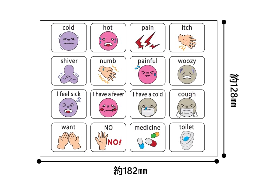 Amazon.co.jp: コミュニケーションカードB6サイズ 英語