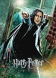 Displate - Poster aus Metall - Einfache Montage ohne Bohren - Wizarding World - Deathly Hallows Movie Posters - HP8 Severus Snape - Größe M - 32x45cm Matt