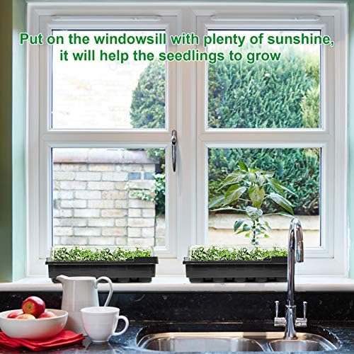 RTWAY 6 PACK Seed Propagator Tray Set, Mini Sturdy Windowsill Trays with Cover Dome, Seed Starter Tray Greenhouse Grow Trays for Seeds Growing Starting (10 Cells per Tray)