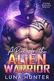 Cover zum Buch A Baby for the Alien Warrior