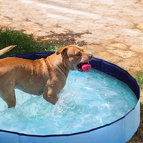 Foldable Kiddie Pool Hard Plastic Kids Pool, 47.2" X 12", Portable Pvc Dog Swimming Pool, Indoor & Outdoor Collapsible Pet Pool Bath Tub For Dogs, Cats And Kids - Large & Blue #TOP7