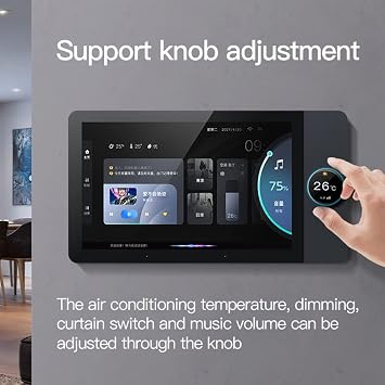 Smart home control panel, Integrated Controller, 10-inch dimmer and background music player, Smart Life Tuya App to control smart appliances timer switch, support video doorbell two-way intercom