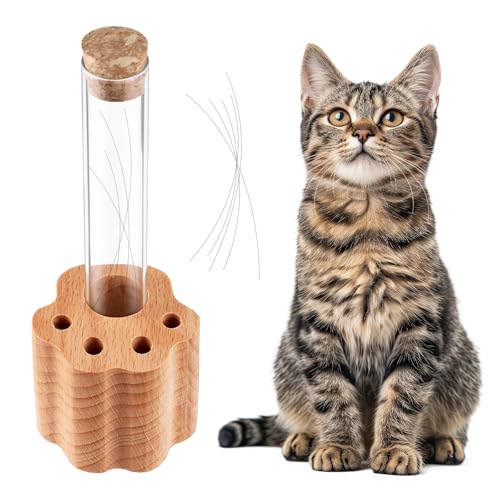 Heclia Cat Whisker Jar Mini Whisker Vase Glass Whiskers Holder Transparent Cat Whiskers Collector Pet Keepsake Supplies for Pet Lovers Sympathy Memorial Gift Box