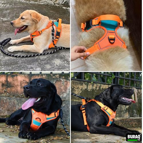 Image of Buraq Reflective Dog Harness with Leash, No-Pull Adjustable Belt Vest for Small, Medium & Large Dogs, Escape-Proof, Padded Training & Walking Harness (L - Orange)