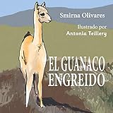 anaconda navigator  El guanaco engreido