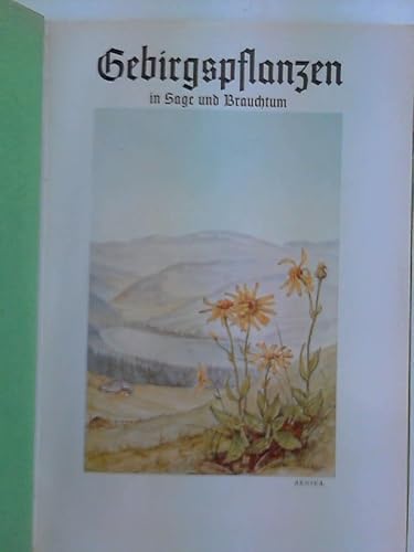 Gebirgspflanzen in Sage und Brauchtum